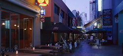 Golden Monkey - Restaurant Find 2