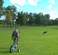 Coffin Bay Golf Club - Restaurant Find