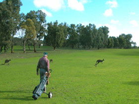 Coffin Bay Golf Club - Restaurant Find 0
