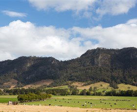 Glen Ward NSW Restaurant Find