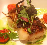 Sealevel Restaurant - Restaurant Find