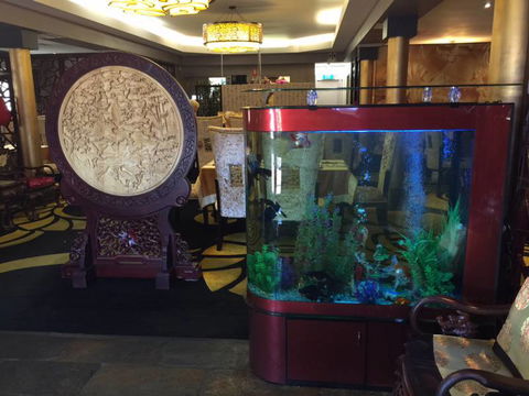 Dragon Palace - Restaurant Find 4