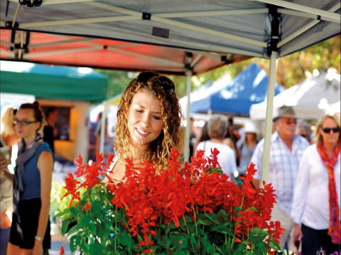 Ballina Missingham Farmers Market - Restaurant Find 0