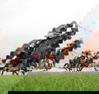 Christmas Cup Race Day - Restaurant Find