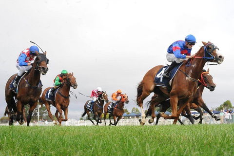 Christmas Cup Race Day - Restaurant Find 0