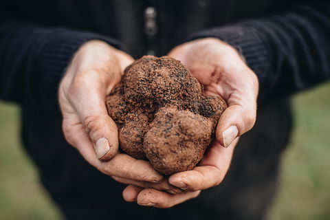 Feast And Forage - Craig's Royal Hotel - Restaurant Find 0