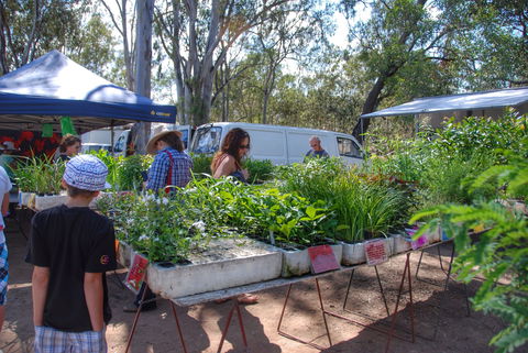 Fernvale Country Markets - Restaurant Find 1