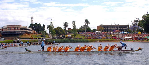 Jacaranda Dragon Boat Races - Restaurant Find 0