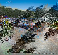 JetBlack Wild Wombat MTB Challenge - Restaurant Find