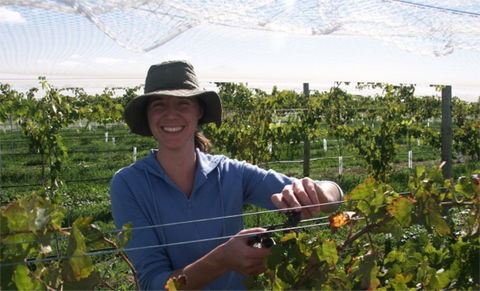 Kingsdale Wines - Cellar Door Wine Tastings - Restaurant Find 0