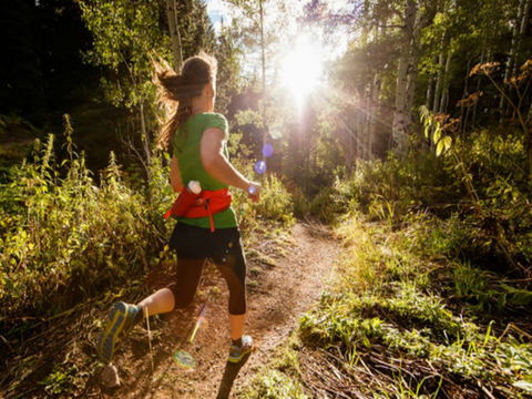 Run Dungog - Restaurant Find 0