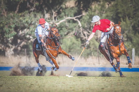 Scone Horse Festival - Restaurant Find 1