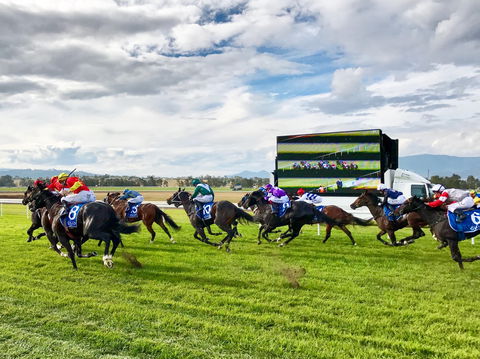 Scone Horse Festival - Restaurant Find 2