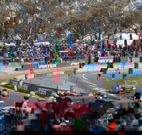 Supercars Supercheap Auto Bathurst 1000 - Restaurant Find