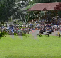 Tumut Derby Day - Restaurant Find