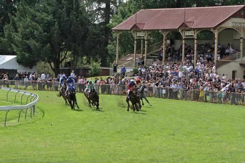 Tumut Derby Day - Restaurant Find 0