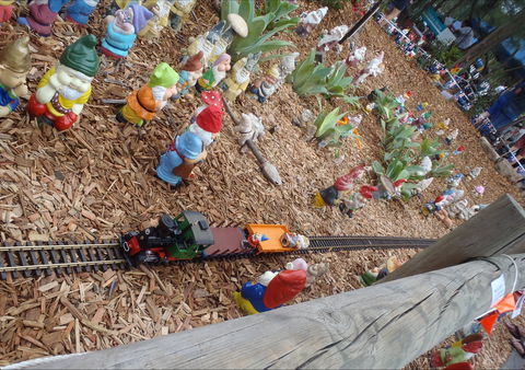 Australia Day With The Australian Gnome Convention Glenbrook - Restaurant Find 2