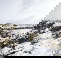 Christmas in July at Cradle Mountain Hotel 2020 - Restaurant Find