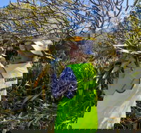 Conservation Volunteers Australia Townsville - Beach Scrub Conservation - Restaurant Find
