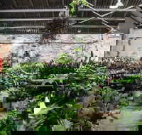 Newcastle - Huge Indoor Plant Warehouse Sale - Christmas Bonanza - Restaurant Find