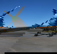 October Weekend Aircraft Showcase - Restaurant Find