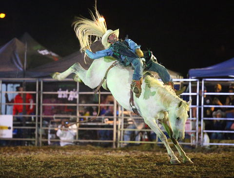 Patches Asphalt Queanbeyan Rodeo - Restaurant Find 2
