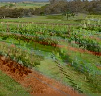 Razorback Ridge Wines Open Weekends - Restaurant Find
