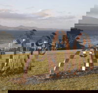 Sculpture Bermagui - Restaurant Find