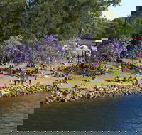 Shoalhaven River Festival - Restaurant Find