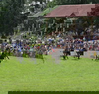 Tumut Boxing Day Races - Restaurant Find
