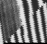 WA Now  Tom Mller Monolith Scores - Restaurant Find
