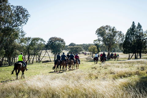 Weddin Mountain Muster - Restaurant Find 0