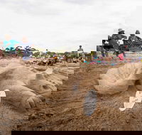 Broulee New Year's Eve Sandcastles and Sculptures - Restaurant Find