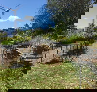 Conservation Volunteers Australia Townsville - Ocean View Nursery - Restaurant Find