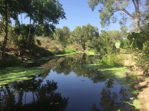 Conservation Volunteers Australia Townsville - Creekwatch - Restaurant Find 0