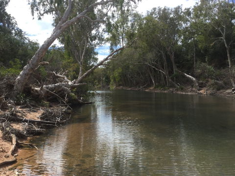 Conservation Volunteers Australia Townsville - Creekwatch - Restaurant Find 2