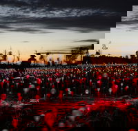 Field of Light Uluru - Restaurant Find