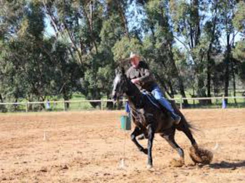 Glen William Gymkhana - Restaurant Find 1
