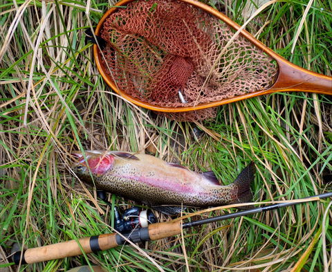 Guyra TroutFest - Restaurant Find 0
