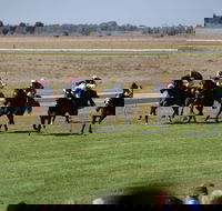Jerilderie Gold Cup Races - Restaurant Find