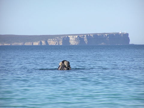 Jervis Bay's Sydney To Hobart Experience - Restaurant Find 0