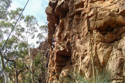 July 2020 Holidays- Explore & Climb - Restaurant Find 0