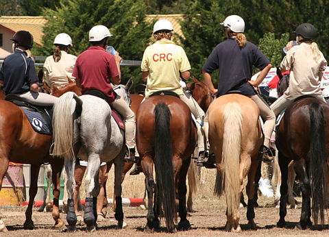 Michelago Pony Club Gymkhana And Sporting Spectacular - Restaurant Find 0