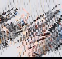 Pulse Perspectives - Virtual Exhibition - Restaurant Find