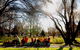 The Orange Society Of Model Engineers - Miniature Train Rides - thumb 0