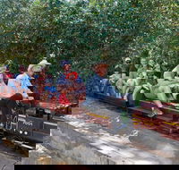 Twilight Run   Willans Hill Miniature Railway - Restaurant Find