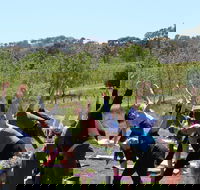 Yoga in the Vines - Restaurant Find