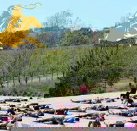 Yoga in the Vines - Restaurant Find