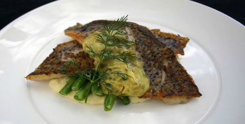 Aquarius Seafood Restaurant - Restaurant Find 2