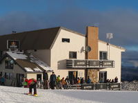 The Bird Cafe